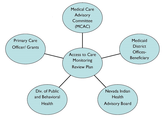 Access to Care Monitoring Review Plan graphic